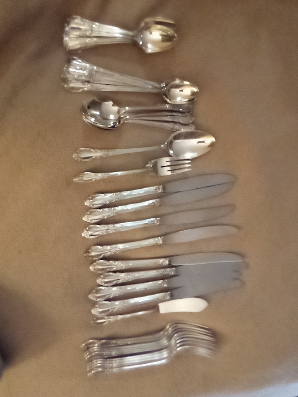 Classic Ornate Silver-plated  Flatware Set - Silver